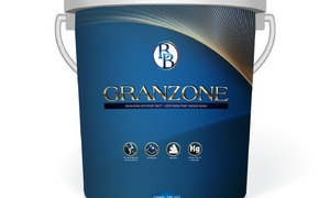 Sơn không bóng ngoại thất GRANZONE